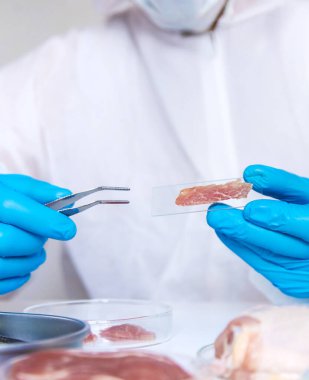 Laboratuvarda eti inceleyin. Seçici odaklanma. Yiyecek..