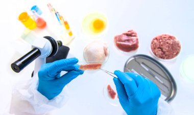 Laboratuvarda eti inceleyin. Seçici odaklanma. Yiyecek..