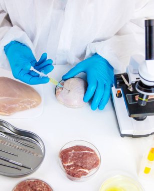 Laboratuvarda eti inceleyin. Seçici odaklanma. Yiyecek..