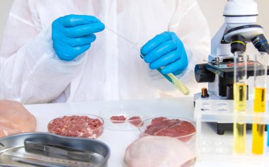 Laboratuvarda eti inceleyin. Seçici odaklanma. Yiyecek..