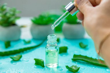 Aloe vera kapsülleri ve özüt damlaları. Seçici odaklanma. Doğa.