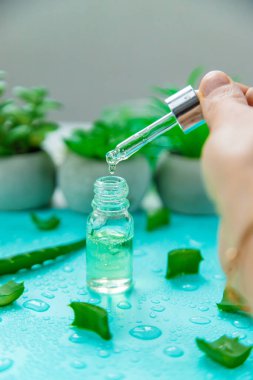 Aloe vera kapsülleri ve özüt damlaları. Seçici odaklanma. Doğa.