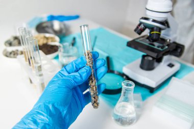 Laboratuvarda toprak testi. Seçici odaklanma. Doğa.