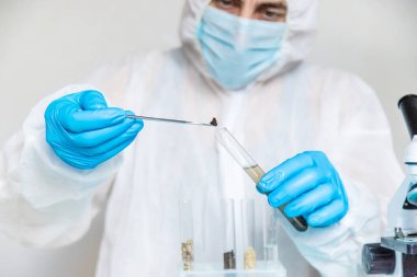 Laboratuvarda toprak testi. Seçici odaklanma. Doğa.