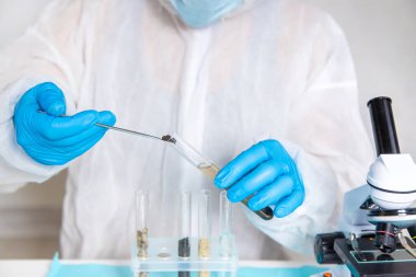 Laboratuvarda toprak testi. Seçici odaklanma. Doğa.