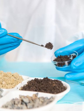 Laboratuvarda toprak testi. Seçici odaklanma. Doğa.