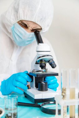 Laboratuvarda toprak testi. Seçici odaklanma. Doğa.