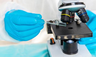 Laboratuvarda toprak testi. Seçici odaklanma. Doğa.