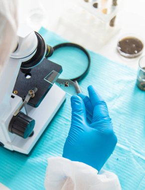 Laboratuvarda toprak testi. Seçici odaklanma. Doğa.