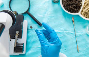 Laboratuvarda toprak testi. Seçici odaklanma. Doğa.