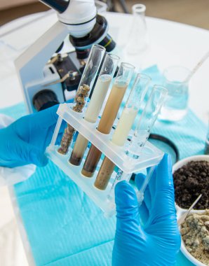 Laboratuvarda toprak testi. Seçici odaklanma. Doğa.