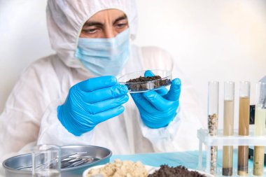 Laboratuvarda toprak testi. Seçici odaklanma. Doğa.