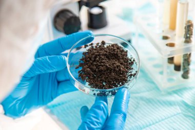 Laboratuvarda toprak testi. Seçici odaklanma. Doğa.