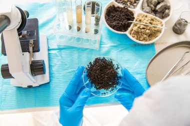 Laboratuvarda toprak testi. Seçici odaklanma. Doğa.