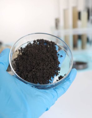 Laboratuvarda toprak testi. Seçici odaklanma. Doğa.