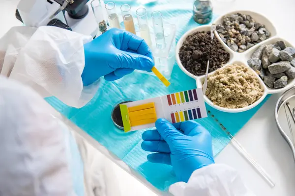 Laboratuvarda toprak testi. Seçici odaklanma. Doğa.