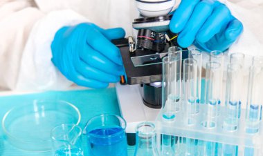 Laboratuvarda su araştırması. Seçici odaklanma. Doğa.