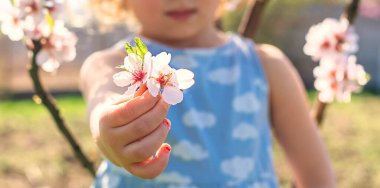 Çiçek açan ağaçların bahçesindeki bir çocuk. Seçici odaklanma. çocuk.