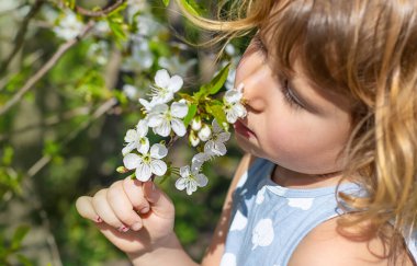 Çiçek açan ağaçların bahçesindeki bir çocuk. Seçici odaklanma. çocuk.