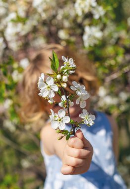 Çiçek açan ağaçların bahçesindeki bir çocuk. Seçici odaklanma. çocuk.