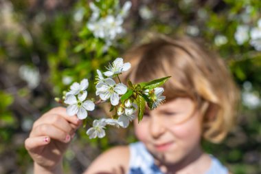 Çiçek açan ağaçların bahçesindeki bir çocuk. Seçici odaklanma. çocuk.