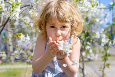 Çiçek açan ağaçların bahçesindeki bir çocuk. Seçici odaklanma. çocuk.