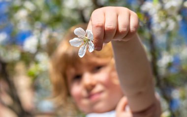 Çiçek açan ağaçların bahçesindeki bir çocuk. Seçici odaklanma. çocuk.