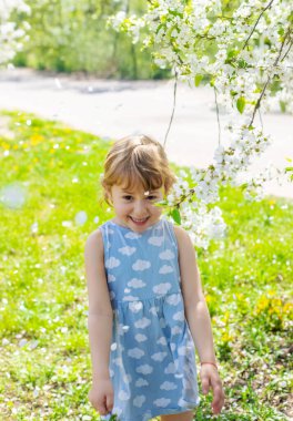 Çiçek açan ağaçların bahçesindeki bir çocuk. Seçici odaklanma. çocuk.