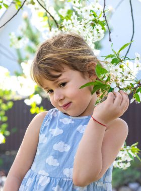 Çiçek açan ağaçların bahçesindeki bir çocuk. Seçici odaklanma. çocuk.