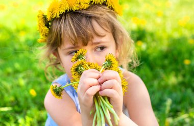 Bahçedeki çocuk elinde bir buket karahindiba ile. Seçici odaklanma. Çocuk.