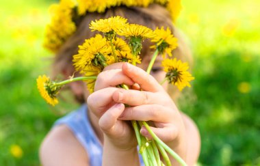 Bahçedeki çocuk elinde bir buket karahindiba ile. Seçici odaklanma. Çocuk.