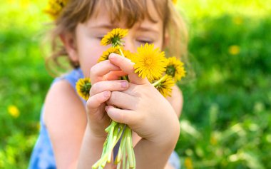 Bahçedeki çocuk elinde bir buket karahindiba ile. Seçici odaklanma. Çocuk.