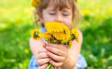 Bahçedeki çocuk elinde bir buket karahindiba ile. Seçici odaklanma. Çocuk.