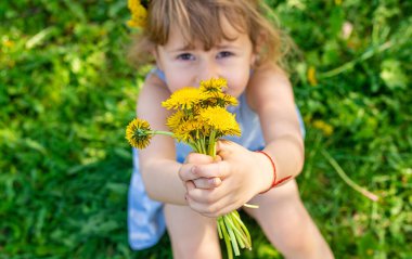 Bahçedeki çocuk elinde bir buket karahindiba ile. Seçici odaklanma. Çocuk.