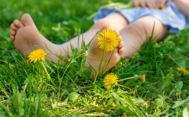 Karahindiba bahçesinde çocuk ayakları. Seçici odaklanma. çocuk,