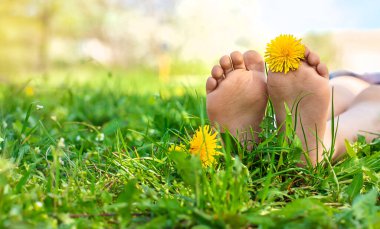 Karahindiba bahçesinde çocuk ayakları. Seçici odaklanma. çocuk,