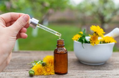 Karahindiba özü ve homeopatik takviyeler. Seçici odaklanma. Doğa.