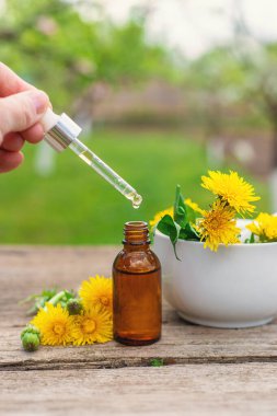 Karahindiba özü ve homeopatik takviyeler. Seçici odaklanma. Doğa.