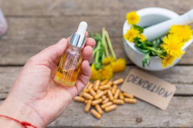 Karahindiba özü ve homeopatik takviyeler. Seçici odaklanma. Doğa.