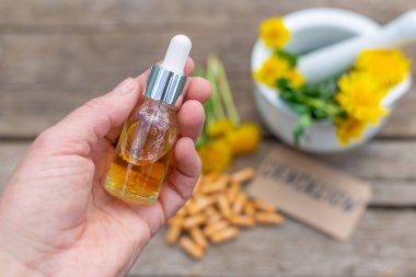 Karahindiba özü ve homeopatik takviyeler. Seçici odaklanma. Doğa.