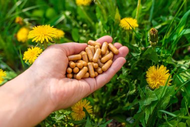 Karahindiba özü ve homeopatik takviyeler. Seçici odaklanma. Doğa.