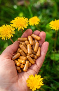 Karahindiba özü ve homeopatik takviyeler. Seçici odaklanma. Doğa.