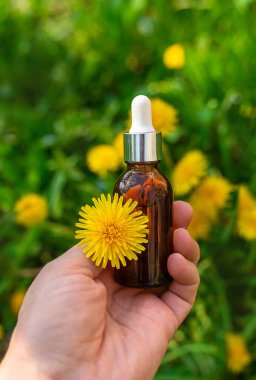 Karahindiba özü ve homeopatik takviyeler. Seçici odaklanma. Doğa.