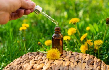 Karahindiba özü ve homeopatik takviyeler. Seçici odaklanma. Doğa.