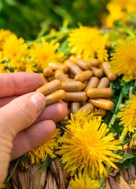 Karahindiba özü ve homeopatik takviyeler. Seçici odaklanma. Doğa.