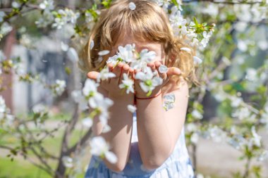 Çiçek açan ağaçların bahçesindeki bir çocuk. Seçici odaklanma. çocuk.