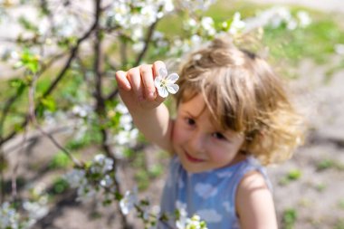 Çiçek açan ağaçların bahçesindeki bir çocuk. Seçici odaklanma. çocuk.