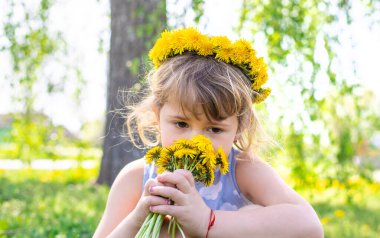 Bahçedeki çocuk elinde bir buket karahindiba ile. Seçici odaklanma. Çocuk.