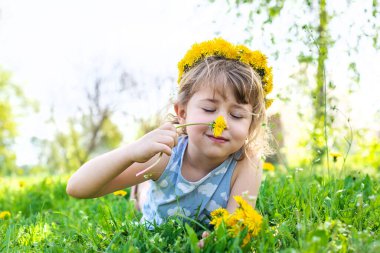 Bahçedeki çocuk elinde bir buket karahindiba ile. Seçici odaklanma. Çocuk.