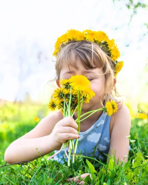 Bahçedeki çocuk elinde bir buket karahindiba ile. Seçici odaklanma. Çocuk.